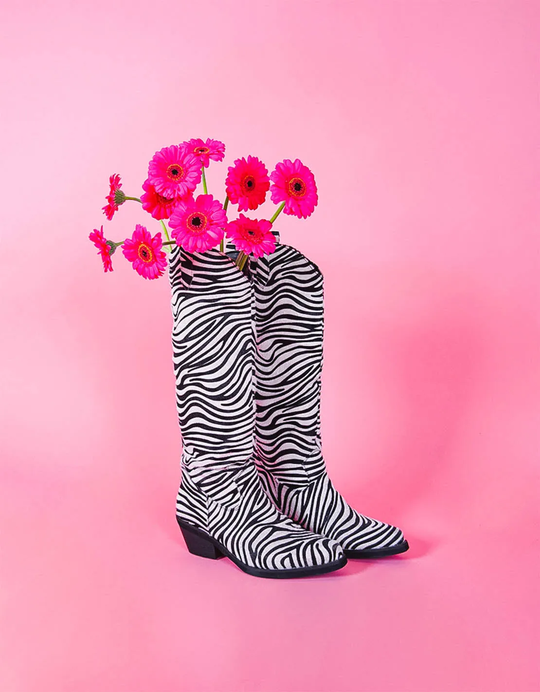 Cowboy boots zebra